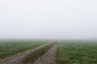 Deutschland, Bayern, Blick auf Landstraße durch Nebel - FLF000093