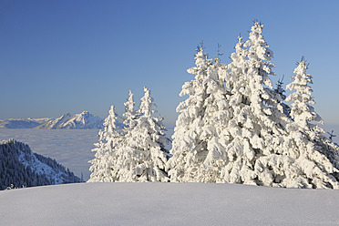 Schweiz, Luzern, Blick auf schneebedeckte Bäume, im Hintergrund der Pilatus im Kanton Schwyz - RUEF000900