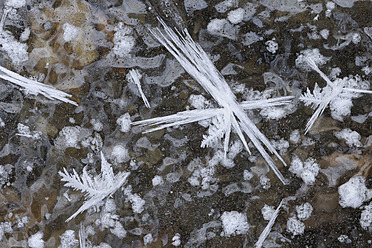 Germany; Saxony, View of ice crystals on water surface - RUEF000903
