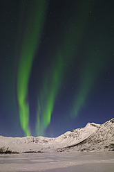 Norwegen, Troms, Blick auf Aurora Borealis bei Tromso - RUEF000916