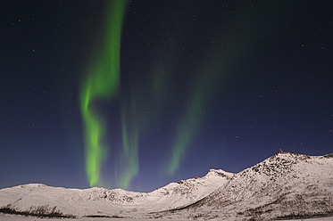 Norwegen, Troms, Blick auf Aurora Borealis bei Tromso - RUEF000917