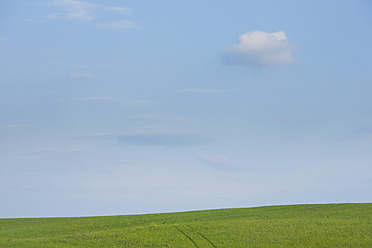 Italien, Blick auf Feldwege auf sanften Hügeln - FLF000099