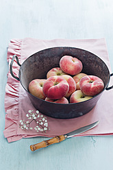 Peaches in vintage cooking pot with knife on table - ECF000023