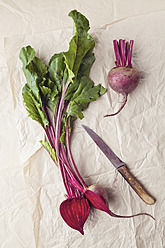 Beetroots with knife on parchment paper - ECF000026