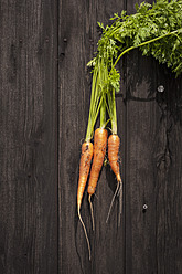 North Rhine Westphalia, Close up of carrots on table - KJF000168