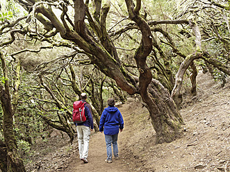 Spain, Couple hiking through Laurel forest at Garajonay National Park - SIEF002804