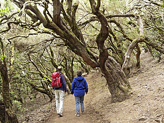 Spanien, Paar beim Wandern durch den Lorbeerwald im Garajonay-Nationalpark - SIEF002804