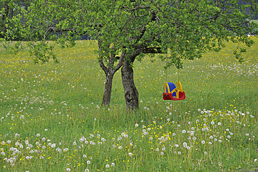 Österreich, Kinderschaukel am Baum hängend - AXF000205