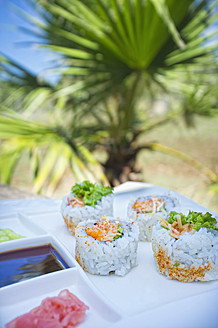 USA, Texas, Spicy crab roll with sushi in plate - ABAF000179