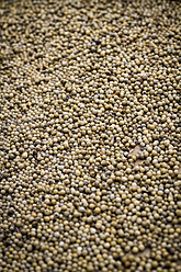 Indonesia, White pepper drying in sun - MBEF000453