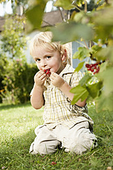 Germany, Bavaria, Boy eating red currants, portrait - RNF000991