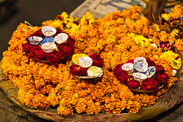 India, Uttar Pradesh,Leaf bowls with flowers and oil lamp for Aarti at Ganges river - FOF004162