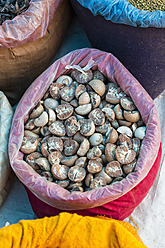 India, Madhya Pradesh, Areca nut on market, close up - FOF004238