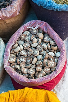 Indien, Madhya Pradesh, Areca-Nuss auf dem Markt, Nahaufnahme - FOF004238