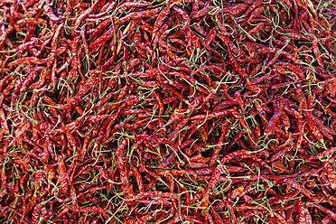 Indien, Madhya Pradesh, Rote Chilis auf dem Markt - FOF004243