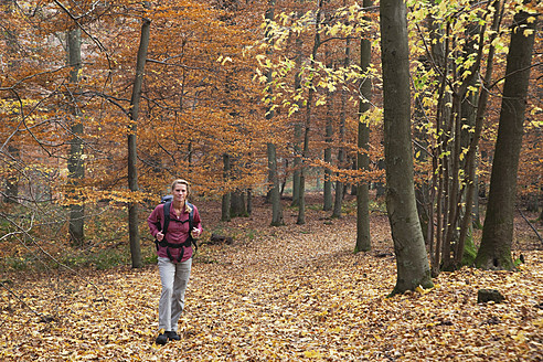 Deutschland, Nordrhein-Westfalen, Ältere Frau beim Wandern im Herbstwald - GWF001969