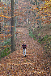 Deutschland, Nordrhein-Westfalen, Ältere Frau beim Wandern im Herbstwald - GWF001970