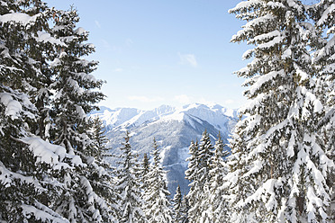 Austria, Saalbach-Hinterglemm, Alps in background - FLF000129