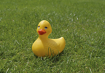 Plastic duck on grass - WBF001364