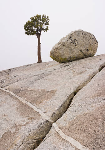 USA, Kalifornien, Blick auf felsige Landschaft, Baum und Felsbrocken, lizenzfreies Stockfoto