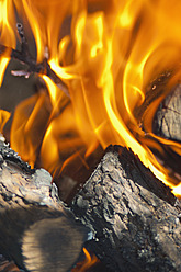 USA, Texas, Oak wood fire - ABAF000221