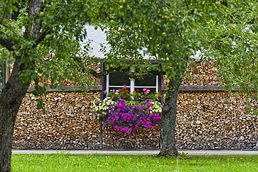 Österreich, Oberösterreich, Blick auf Haus mit Brennholz und Blumen bei Hallstatt - EJWF000008