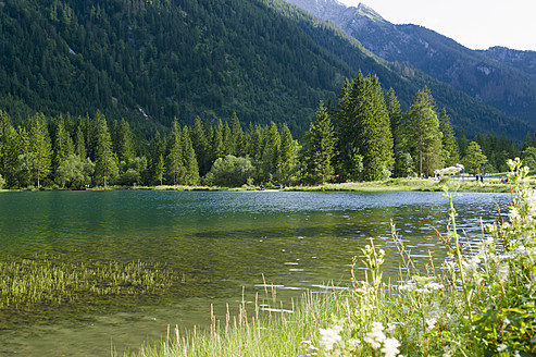 Deutschland, Bayern, Blick auf Teich mit Alpen - MJF000088