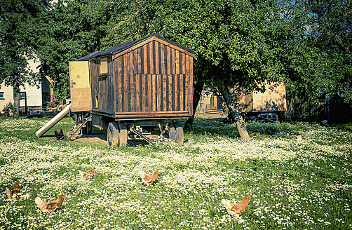 Deutschland, Sachsen, Hühneranhänger im Biohof - MJF000058