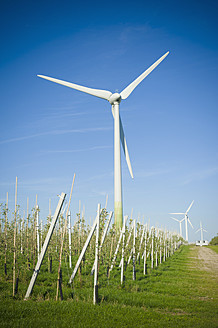 Deutschland, Sachsen, Blick auf eine Windkraftanlage in einer Apfelplantage - MJF000075