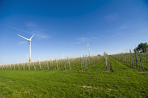 Deutschland, Sachsen, Blick auf eine Windkraftanlage in einer Apfelplantage - MJF000083