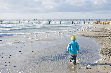 Deutschland, Mecklenburg Vorpommern, Boy an der Ostsee - MJF000112