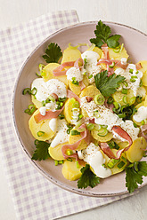 Kartoffelsalat garniert mit Frühlingszwiebeln, Petersilie und Mayonnaise, Nahaufnahme - ECF000032