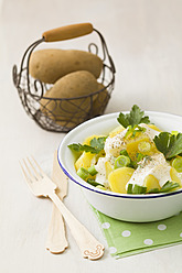 Kartoffelsalat garniert mit Frühlingszwiebeln, Petersilie und Mayonnaise, Nahaufnahme - ECF000033