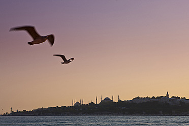 Türkei, Möwen fliegen am Himmel, Blaue Moschee im Hintergrund - FLF000137