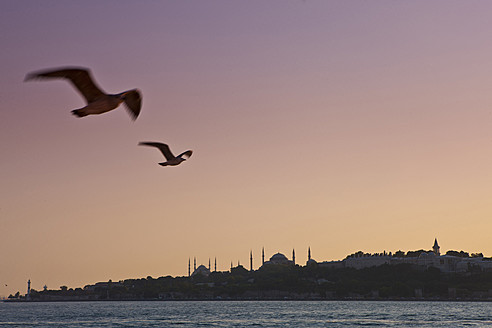 Turkey, Seagulls flying in sky, Blue Mosque in background - FLF000137