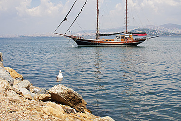 Türkei, Seemöwe und Segelboot an der Küste der Prinzeninseln - FLF000138