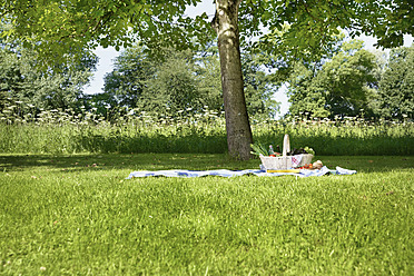 Deutschland, Köln, Blick auf Picknickkorb in Wiese - PDYF000026