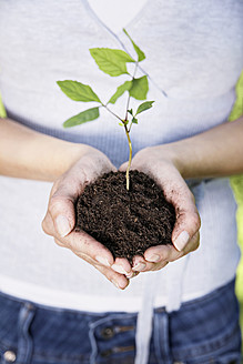 Germany, Cologne, Young woman holding seedling, close up - PDYF000077