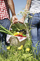 Germany, Cologne, Young couple with picnic basket in meadow - PDYF000085