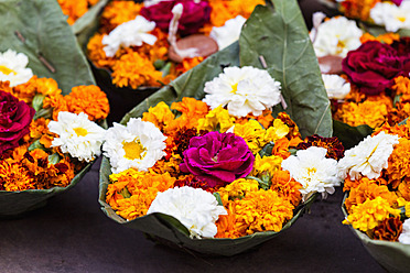 India, Uttarakhand, Leaf bowl with flowers for aarti, close up - FOF004249