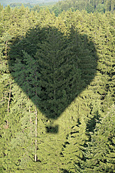 Germany, Shadow of hot air balloon over conifer forest - GNF001245