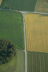 Deutschland, Bayern, Blick auf Maisfelder - GNF001244
