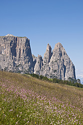 Italien, Alm in Richtung Schlern und Santner Spitze in Südtirol - UMF000446