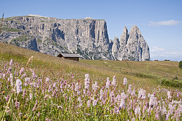 Italien, Alm in Richtung Schlern und Santner Spitze in Südtirol - UMF000443