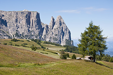 Italien, Alm in Richtung Schlern und Santner Spitze in Südtirol - UMF000425