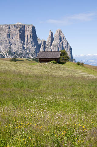 Italien, Alm in Richtung Schlern und Santner Spitze in Südtirol, lizenzfreies Stockfoto