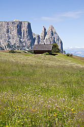 Italien, Alm in Richtung Schlern und Santner Spitze in Südtirol - UMF000424