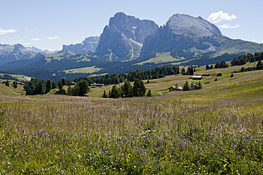 Italien, Blick auf eine Almwiese am Langkofel und Plattkofel in Südtirol - UMF000422