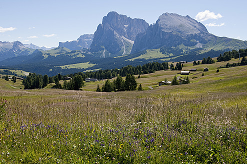 Italien, Blick auf eine Almwiese am Langkofel und Plattkofel in Südtirol - UMF000422