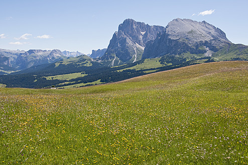 Italien, Blick auf Almwiesen am Langkofel und Plattkofel in Südtirol - UMF000418